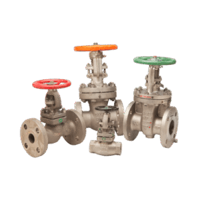 KITZ Stainless Steel and Special Alloy Gate, Globe & Check Valves